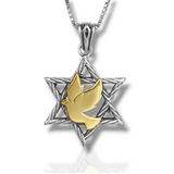 Silver woven Star of David pendant combined with a gold Peace Dove.