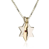 "Magen Israel" necklace with garnet stone, silver and gold (small)